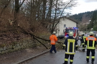 20190310_Sturm_1