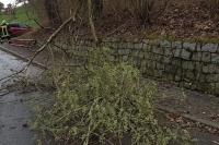 20190310_Sturm_2