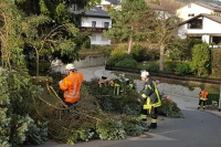 20190310_Sturm_5