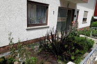 20200704_Brennt_Hecke_02.jpg