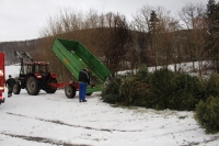 Christbaumaktion_2017_1